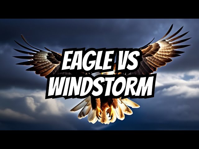 The ultimate showdown: Eagle vs 59 mph wind