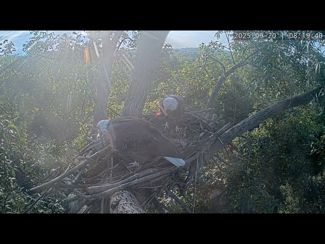 First Nest Visit Fall 2025