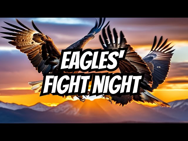 Eagle showdown: Fight Night at the nest