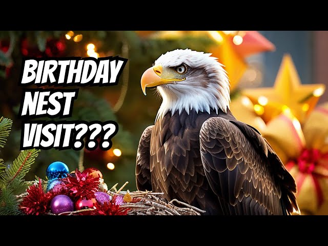 Did Orion visit the nest for a Birthday celebration